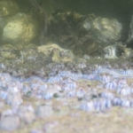 170720-172441-IMG_4255_R